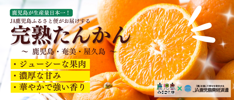 「完熟たんかん」〜屋久島たんかん・奄美たんかん・鹿児島県産たんかん