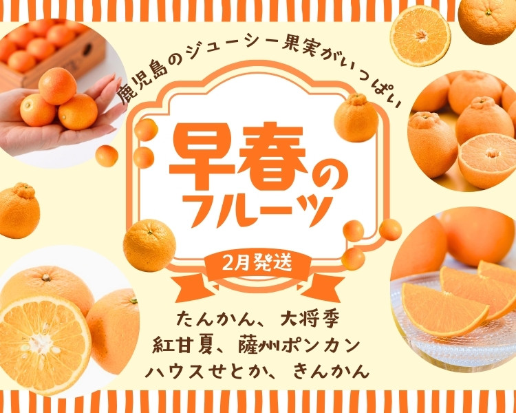 2月発送：早春のフルーツ：たんかん・大将季・紅甘夏・薩州ポンカン・ハウスせとか・きんかん