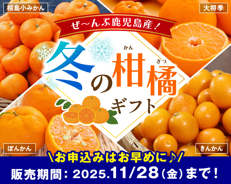 feature-oseibo-citrus.jpg