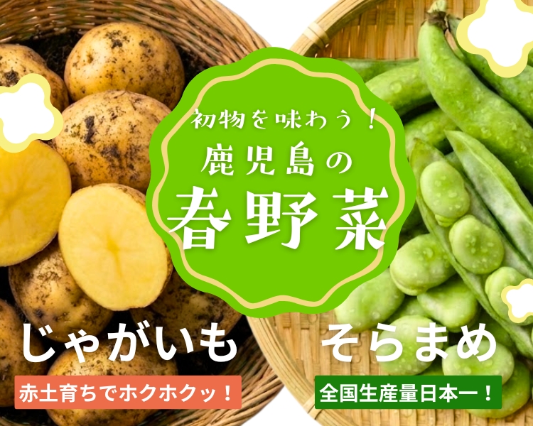 JA鹿児島ふるさと便【公式】鹿児島黒牛・黒豚・旬のフルーツなどグルメ