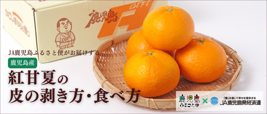 春を呼ぶ、爽やかな紅。「紅甘夏」の魅力を味わいつくす。