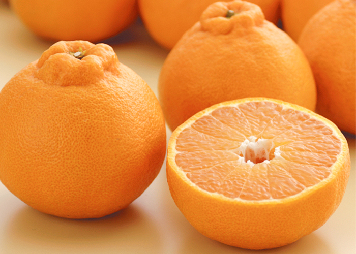 大将季（だいまさき）