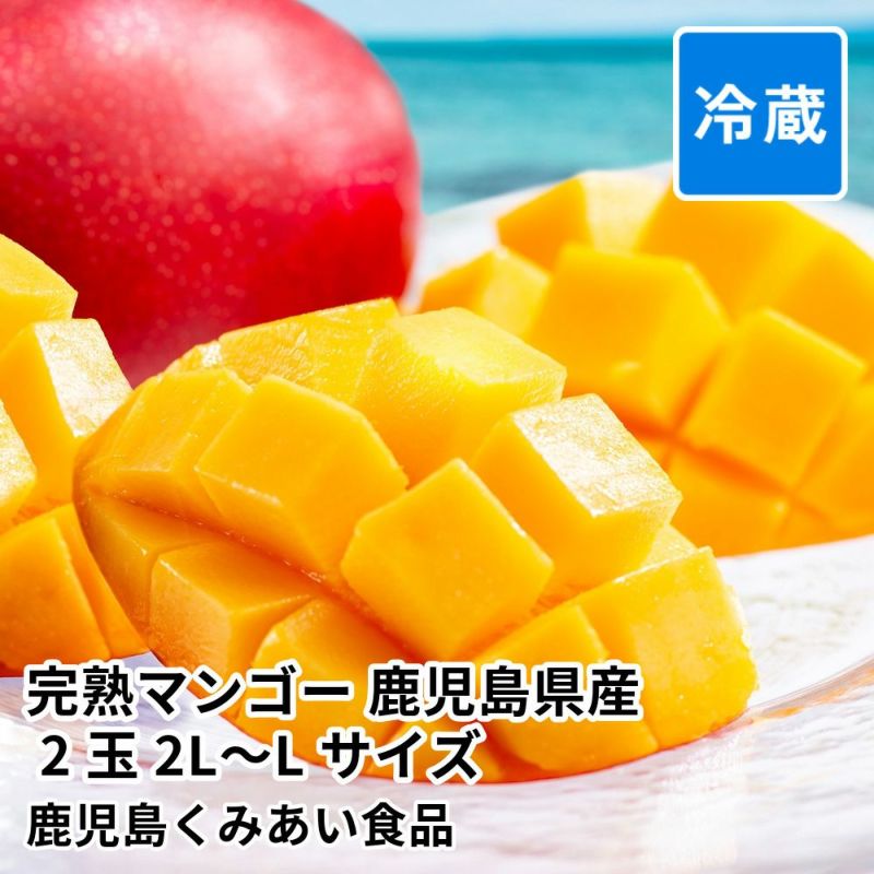 完熟マンゴー 鹿児島県産 2玉 2L～Lサイズ パック入の商品画像01