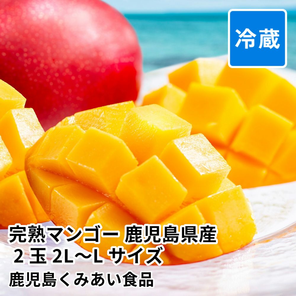完熟マンゴー 鹿児島県産 2玉 2L～Lサイズ パック入の商品画像01