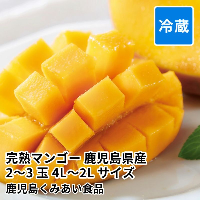 完熟マンゴー 鹿児島県産 2～3玉 4L～2Lサイズ 化粧箱入の商品画像01