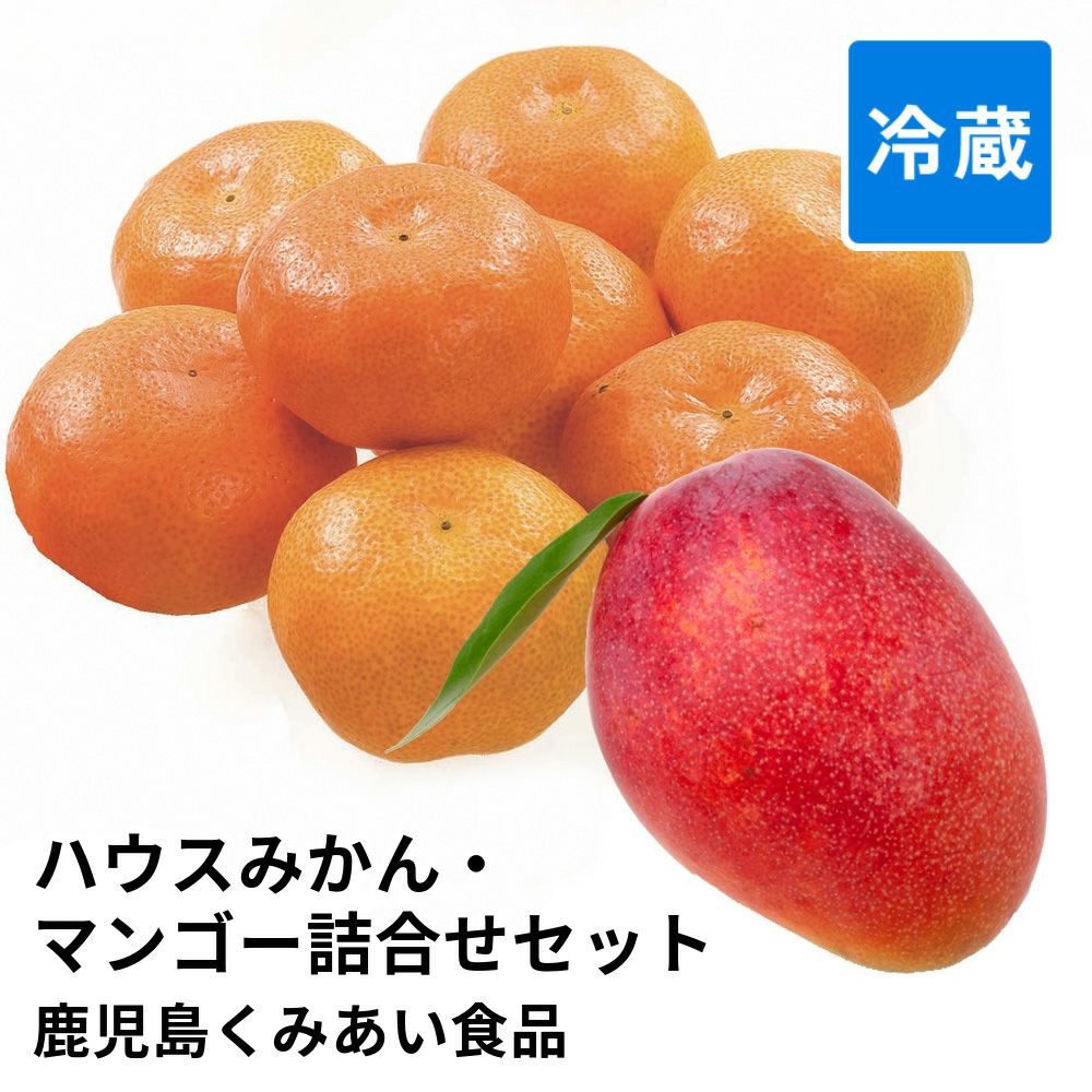 ハウスみかん・マンゴー詰合せセットの商品画像01