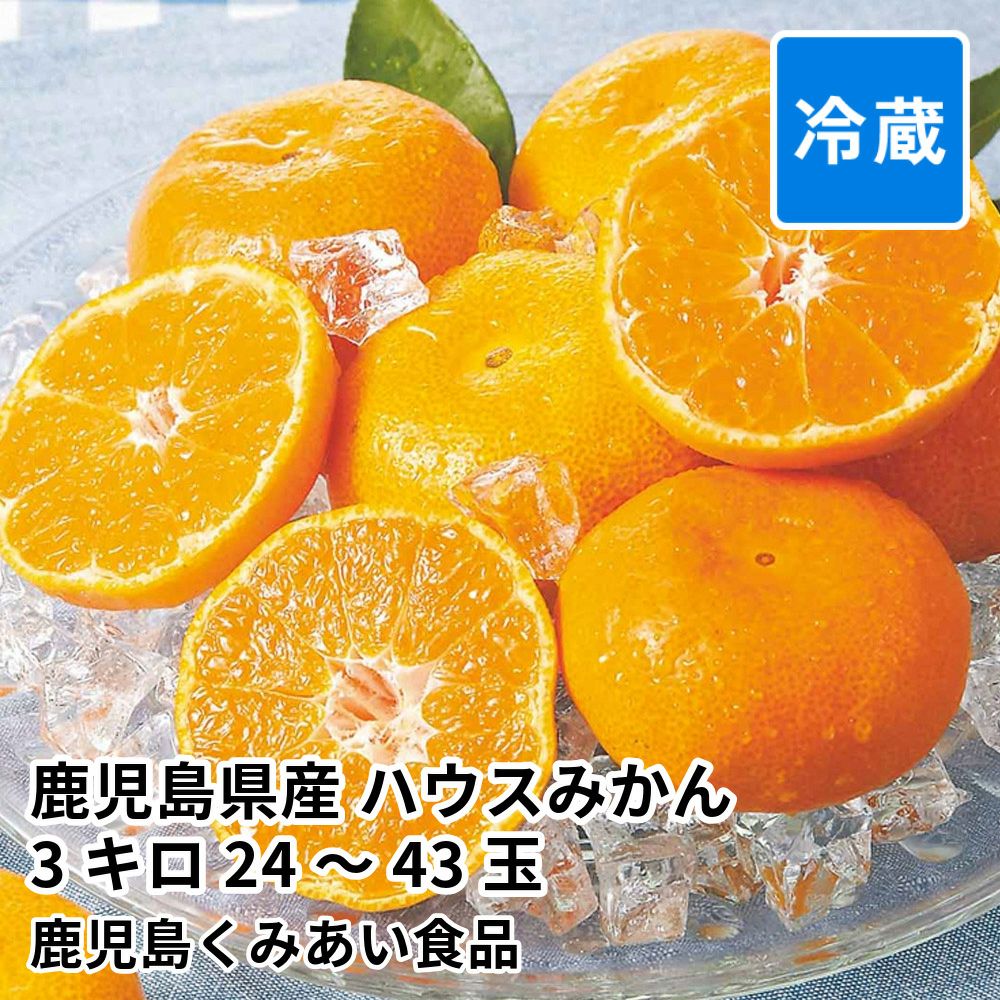 鹿児島県産 ハウスみかん 3キロ 24～43玉 L～Sサイズの商品画像01