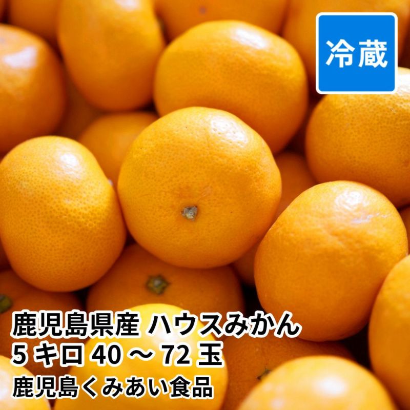 鹿児島県産 ハウスみかん 5キロ 40～72玉 L～Sサイズの商品画像01