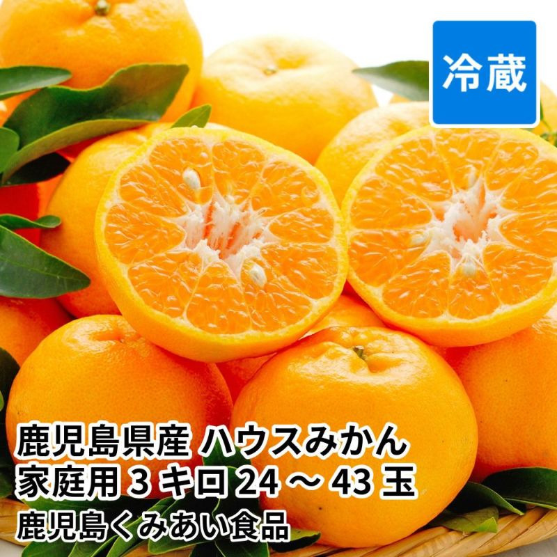 鹿児島県産 ハウスみかん 家庭用 3キロ 24～43玉 L～2Sサイズの商品画像01