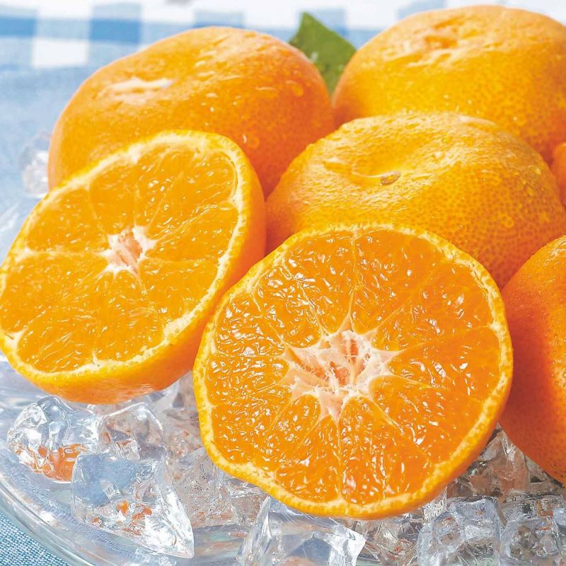 鹿児島県産 ハウスみかん・パッションフルーツ詰合せセットの商品画像02