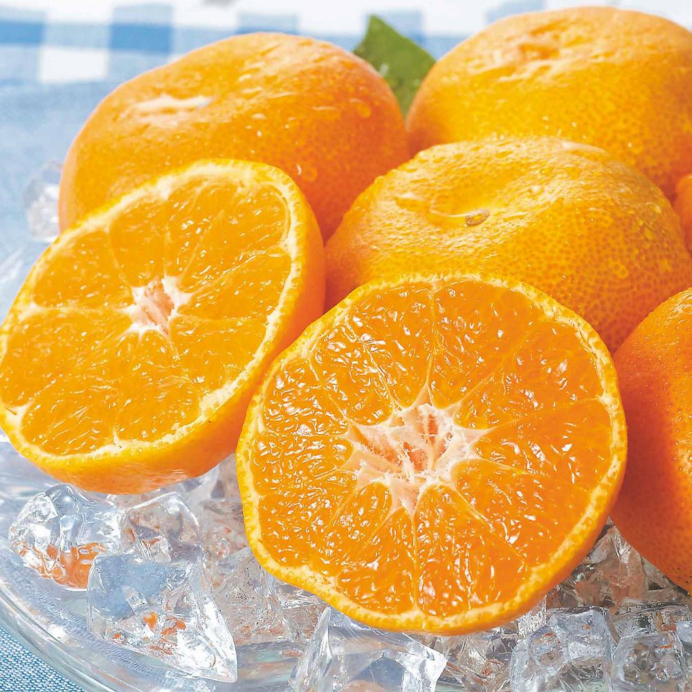 鹿児島県産 ハウスみかん・パッションフルーツ詰合せセットの商品画像02