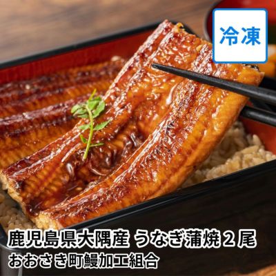 鹿児島県大隅産 うなぎ蒲焼 2尾の商品画像01