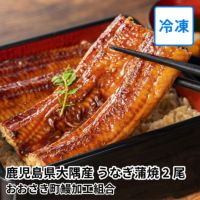 鹿児島県大隅産 うなぎ蒲焼 2尾の商品画像01