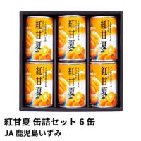 紅甘夏 缶詰セット 295グラム×6缶 | JA鹿児島いずみの商品画像01