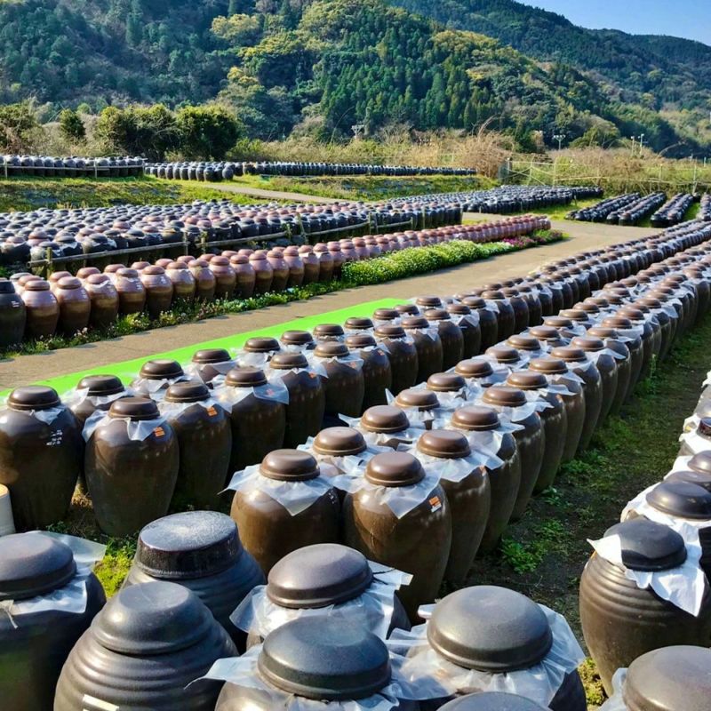 カクイダ 黒酢焼きドーナツ 12個セット GO-40 | 福山黒酢の商品画像02