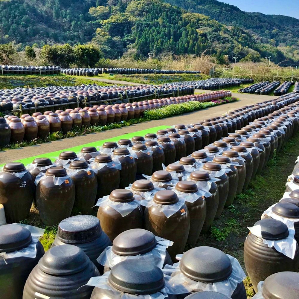 カクイダ 黒酢焼きドーナツ 12個セット GO-40 | 福山黒酢の商品画像02