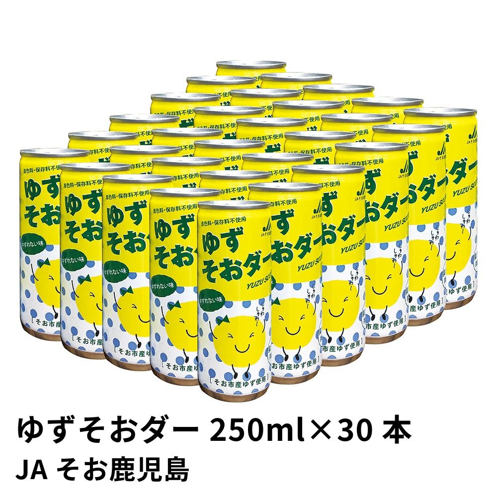 ゆずそおダー 250ml×30本 | JAそお鹿児島の商品画像01