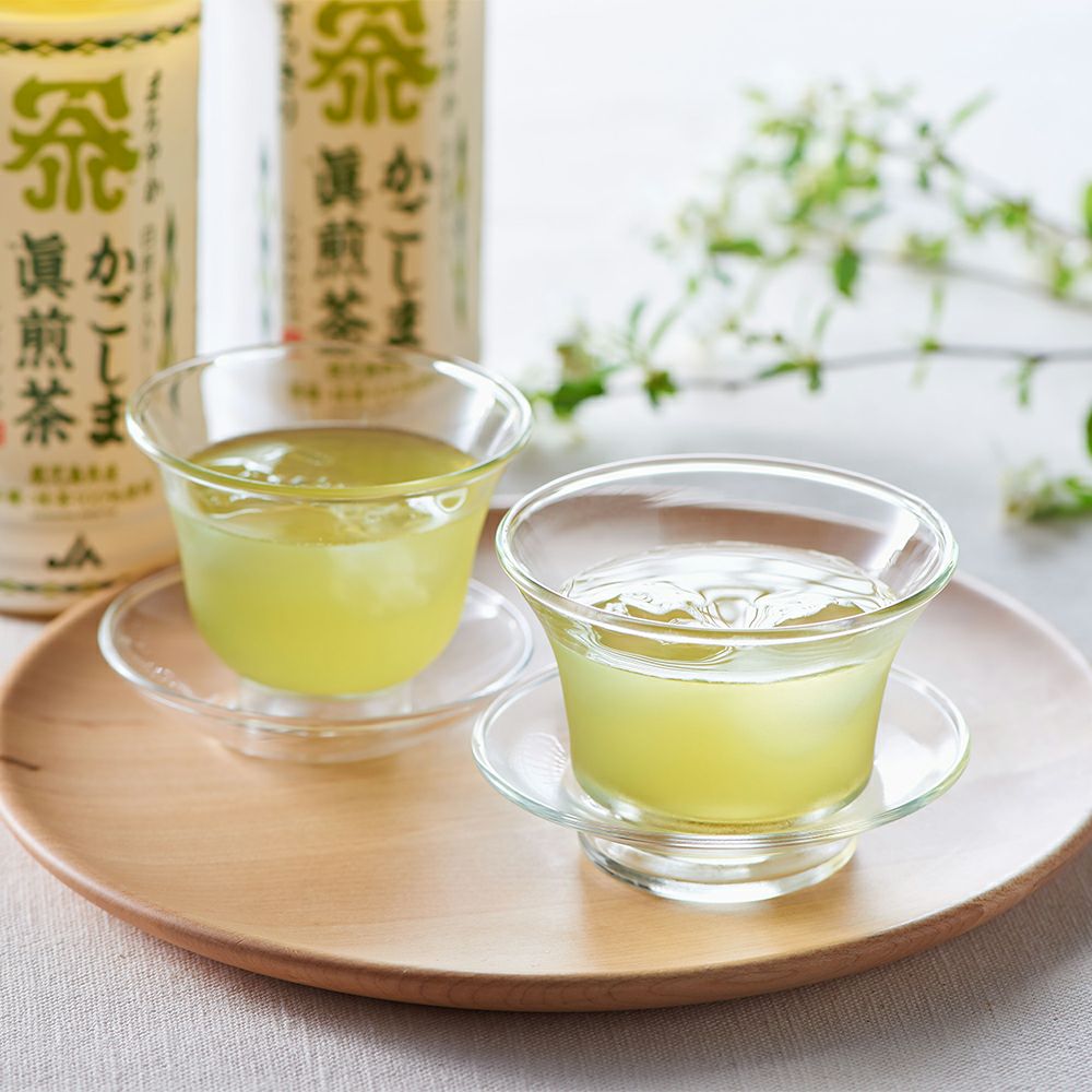 かごしま眞煎茶 ペットボトル 500ml×24本の通販・お取り寄せ | JA