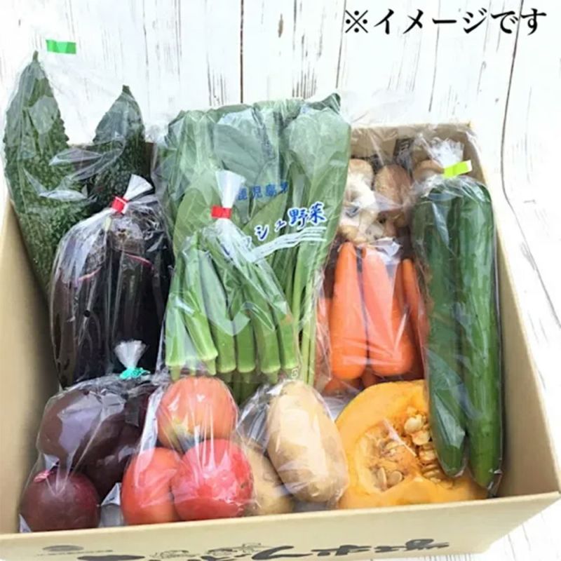 鹿児島県産野菜・果物セット Mサイズ 8～10品目の商品画像02
