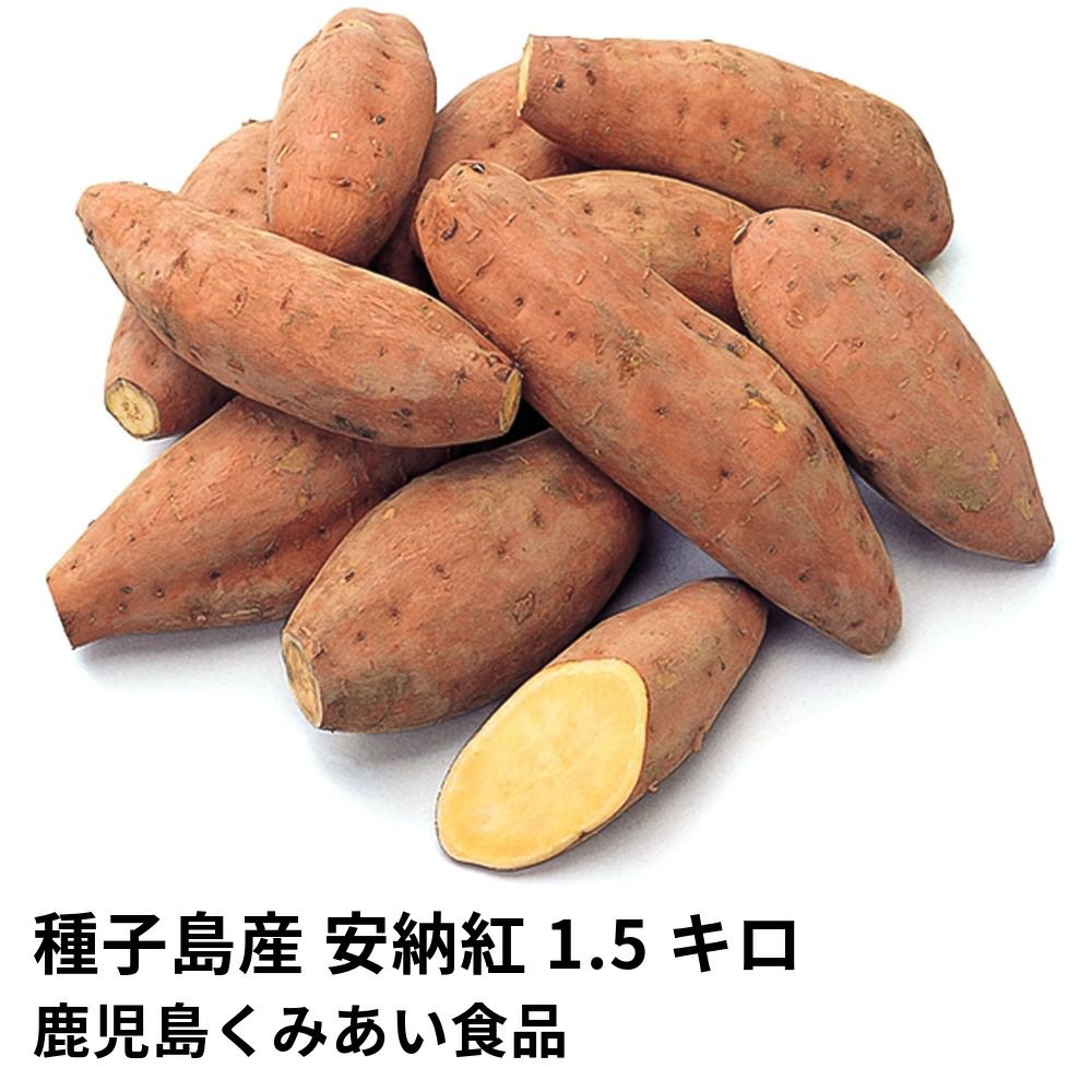 種子島産 安納紅 生芋 1.5キロ 5～8本 2L～Mサイズの商品画像01