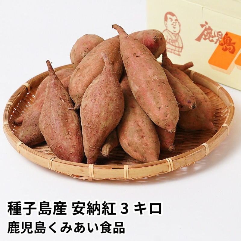 種子島産 安納紅 生芋 3キロ 8～15本 2L～Mサイズの商品画像01
