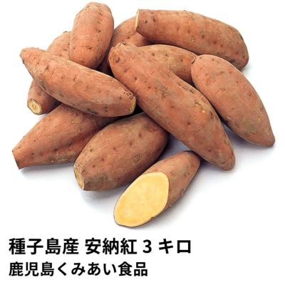種子島産 安納紅 生芋 5キロ 13～22本 のギフト通販・お取り寄せ | JA