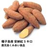 種子島産 安納紅 生芋 5キロ 13～22本 のギフト通販・お取り寄せ | JA