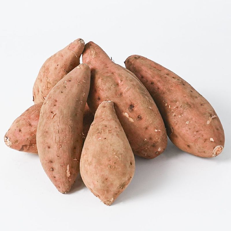 種子島産 安納紅 生芋 5キロ 13～22本 2L～Mサイズの商品画像02