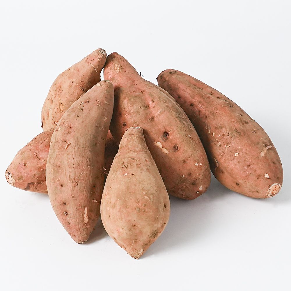 種子島産 安納紅 生芋 5キロ 13～22本 2L～Mサイズの商品画像02