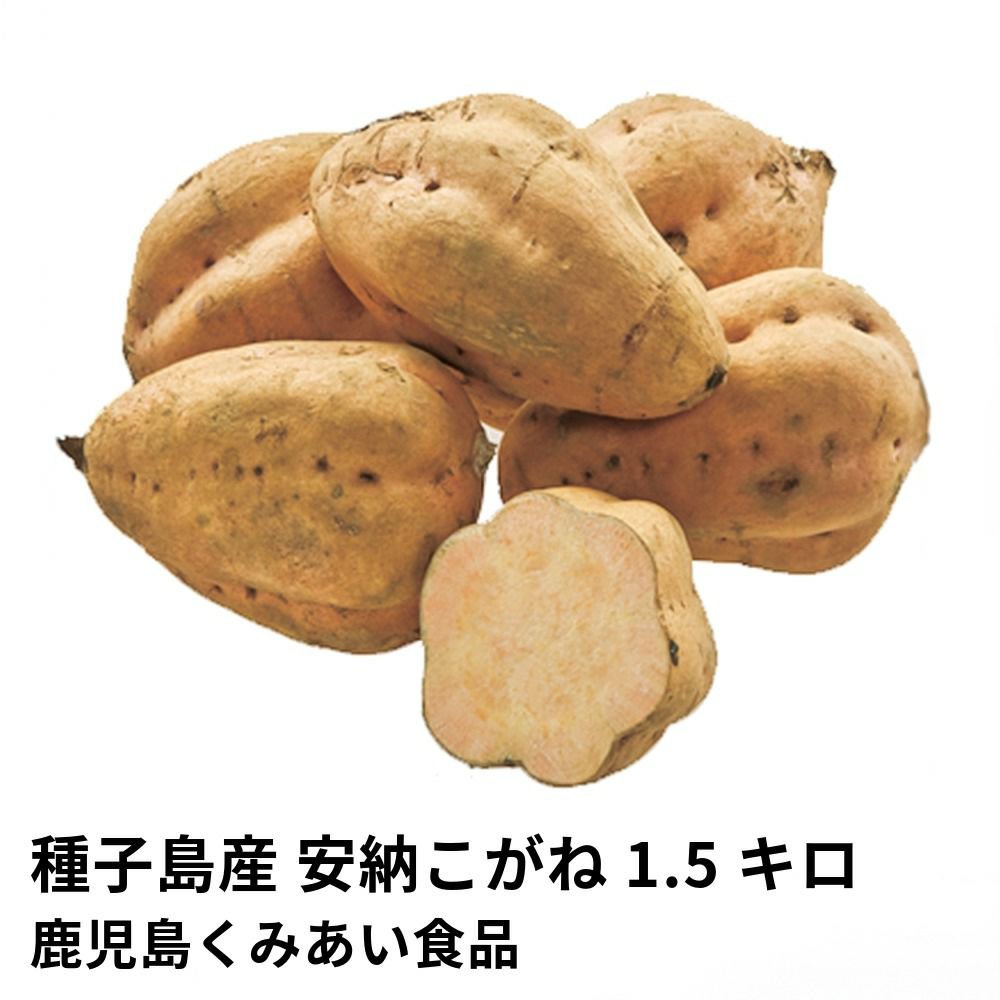 種子島産 安納こがね 生芋 1.5キロ 5～8本 2L～Mサイズの商品画像01