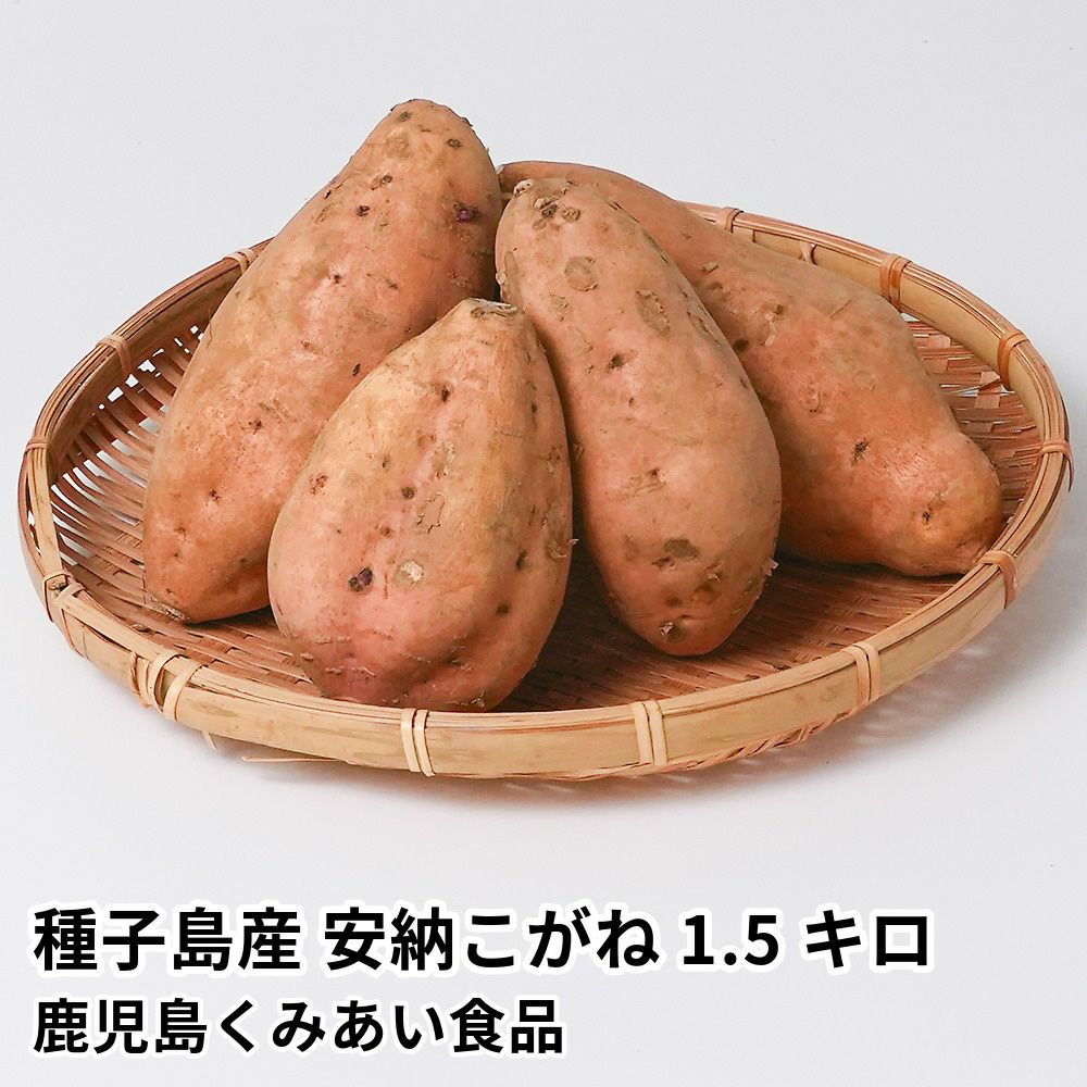 種子島産 安納こがね 生芋 1.5キロ 5～8本 2L～Mサイズの商品画像01