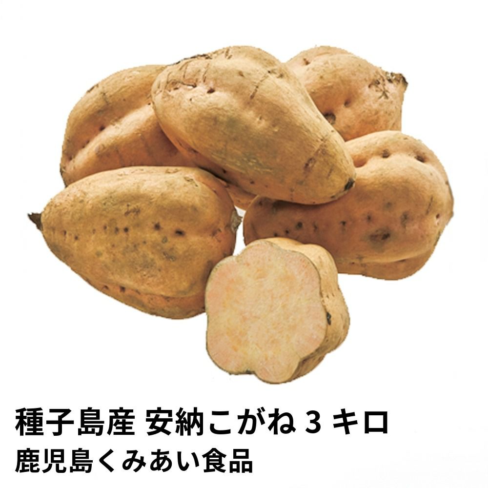 種子島産 安納こがね 生芋 3キロ 8～15本 2L～Mサイズの商品画像01