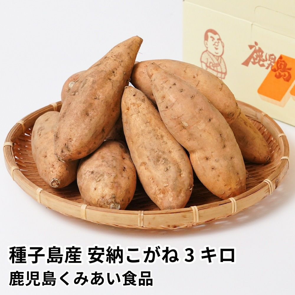 種子島産 安納こがね 生芋 3キロ 8～15本 2L～Mサイズの商品画像01
