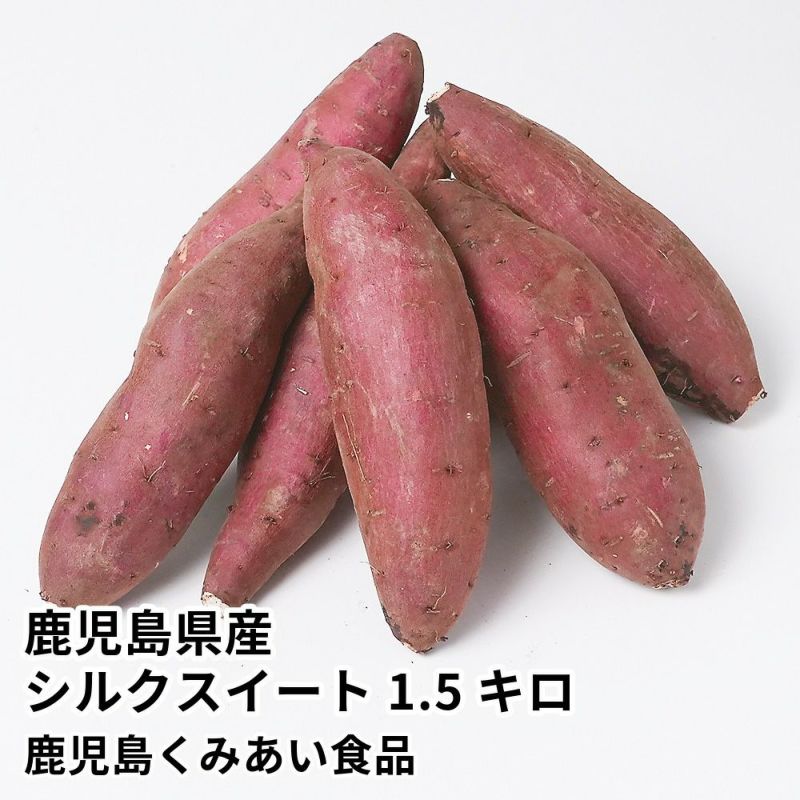 鹿児島県産 シルクスイート 生芋 1.5キロ 5～8本の通販・お取り寄せ