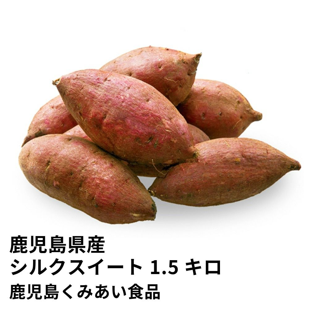 鹿児島県産 シルクスイート 生芋 1.5キロ 5～8本 2L～Mサイズの商品画像01