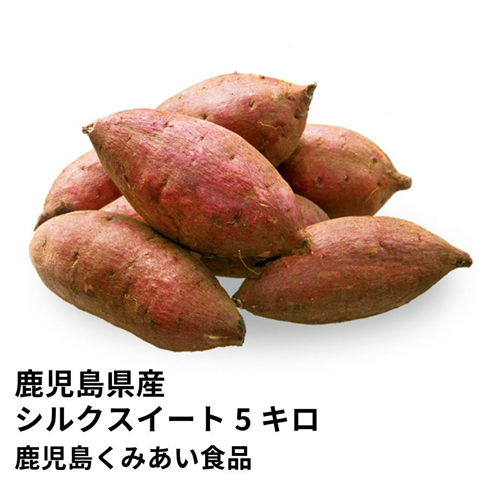 鹿児島県産 シルクスイート 生芋 5キロ 13～22本 2L～Mサイズの商品画像01