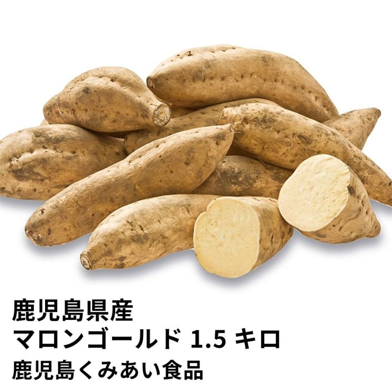 鹿児島県産 マロンゴールド 生芋 1.5キロ 5～8本 2L～Mサイズの商品画像01