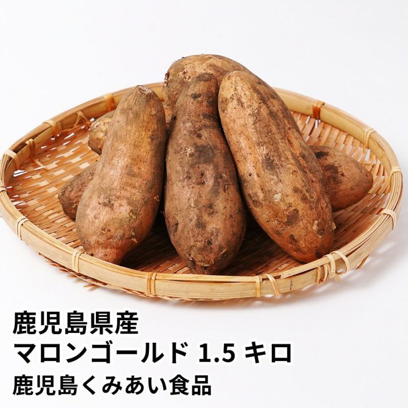 鹿児島県産 マロンゴールド 生芋 1.5キロ 5～8本 2L～Mサイズの商品画像01