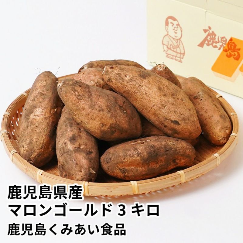 鹿児島県産 マロンゴールド 生芋 3キロ 8～15本 2L～Mサイズの商品画像01