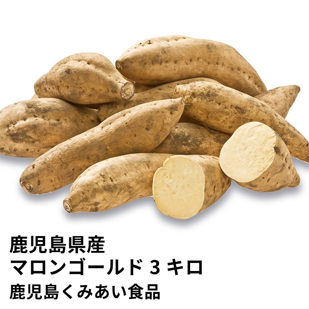 鹿児島県産 マロンゴールド 生芋 3キロ 8～15本 2L～Mサイズの商品画像01