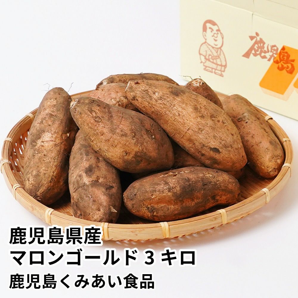 鹿児島県産 マロンゴールド 生芋 3キロ 8～15本 2L～Mサイズの商品画像01