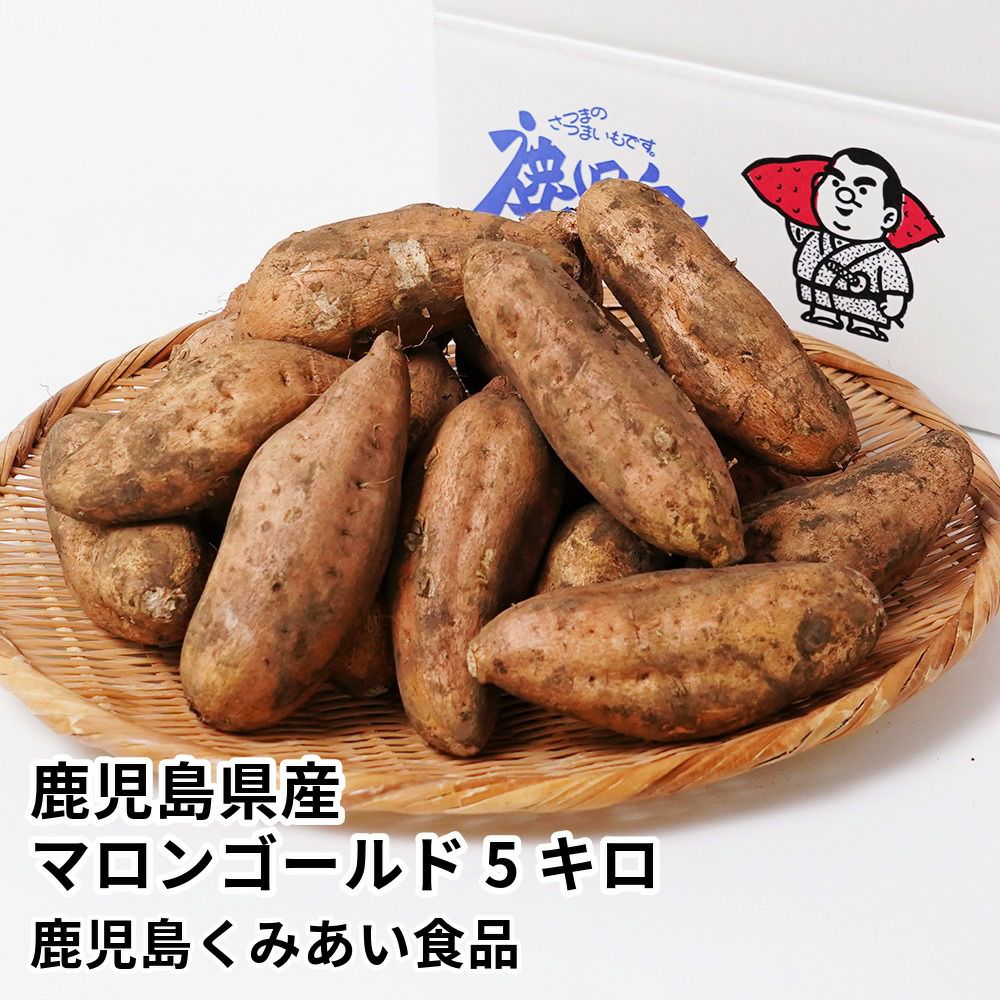 鹿児島県産 マロンゴールド 生芋 5キロ 13～22本 2L～Mサイズの商品画像01