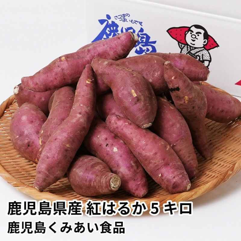 鹿児島県産 紅はるか 生芋 5キロ 13～22本のギフト通販・お取り寄せ