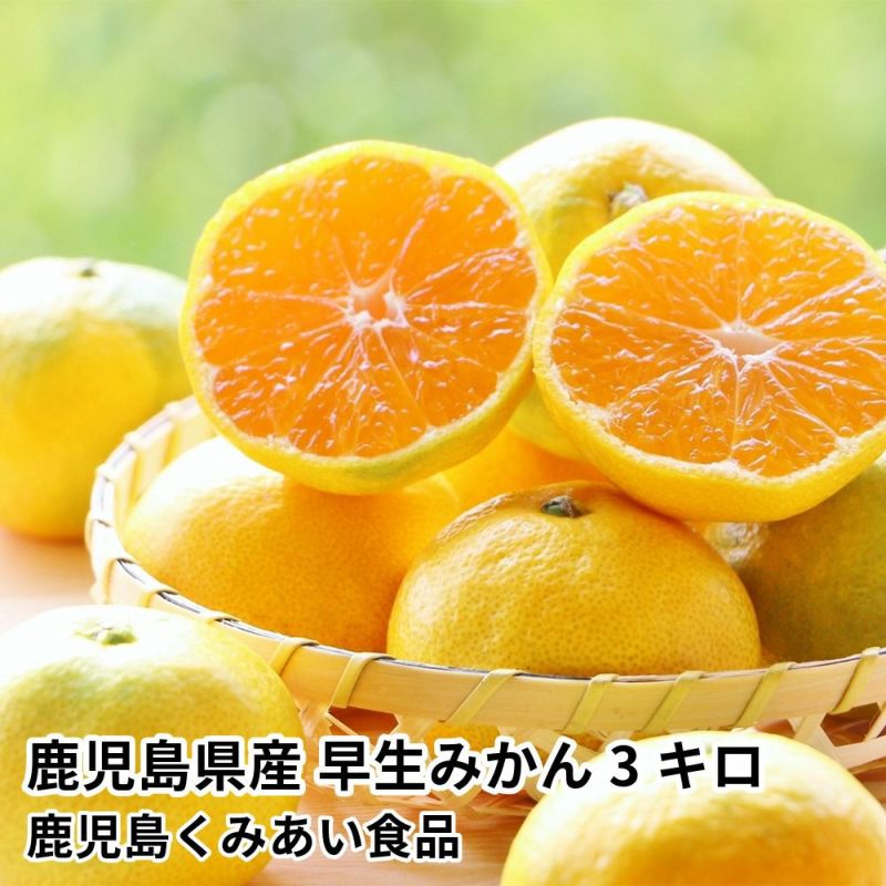 鹿児島県産 早生みかん 3キロ 25～38玉 L～2Sサイズの商品画像01