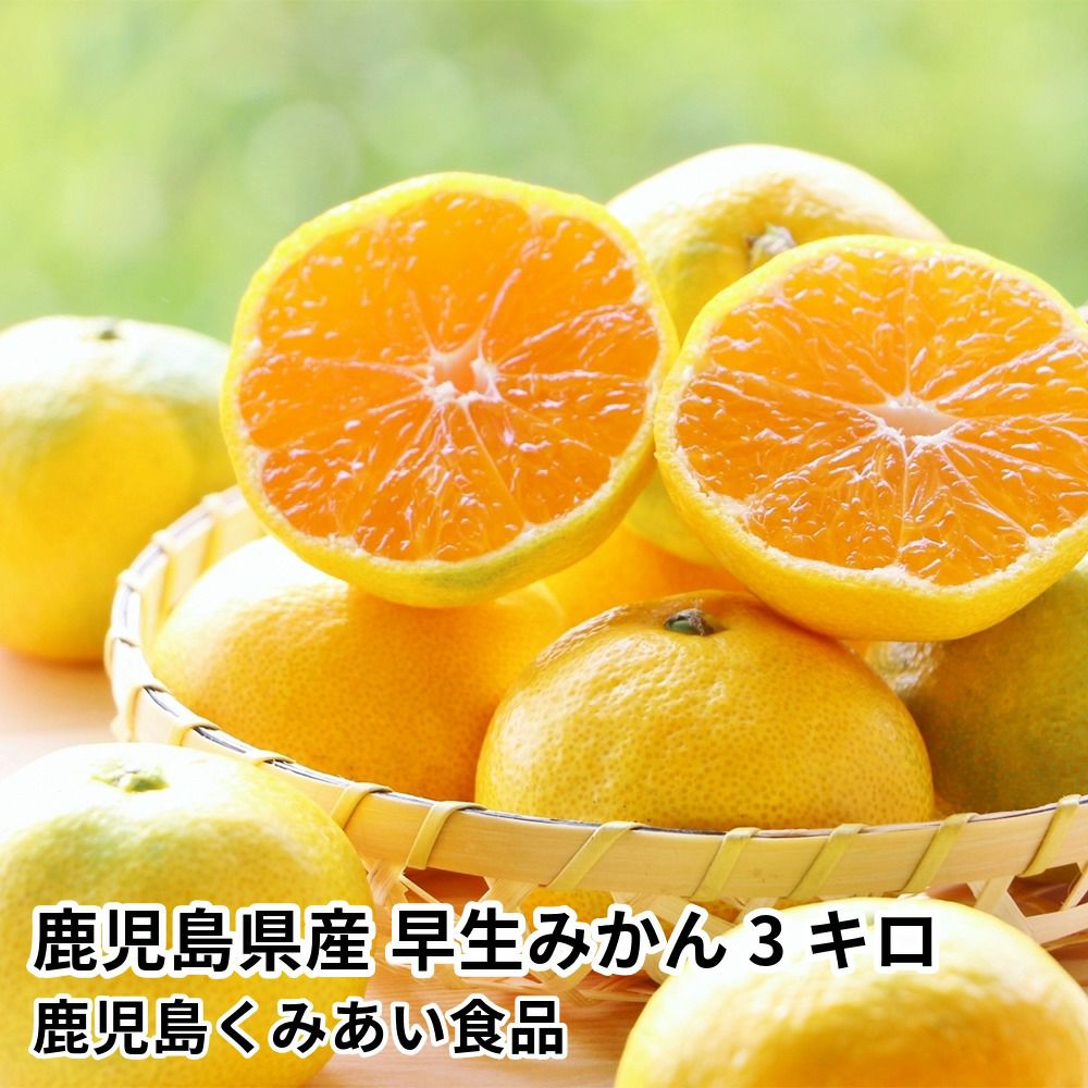鹿児島県産 早生みかん 3キロ 25～38玉 L～2Sサイズの商品画像01