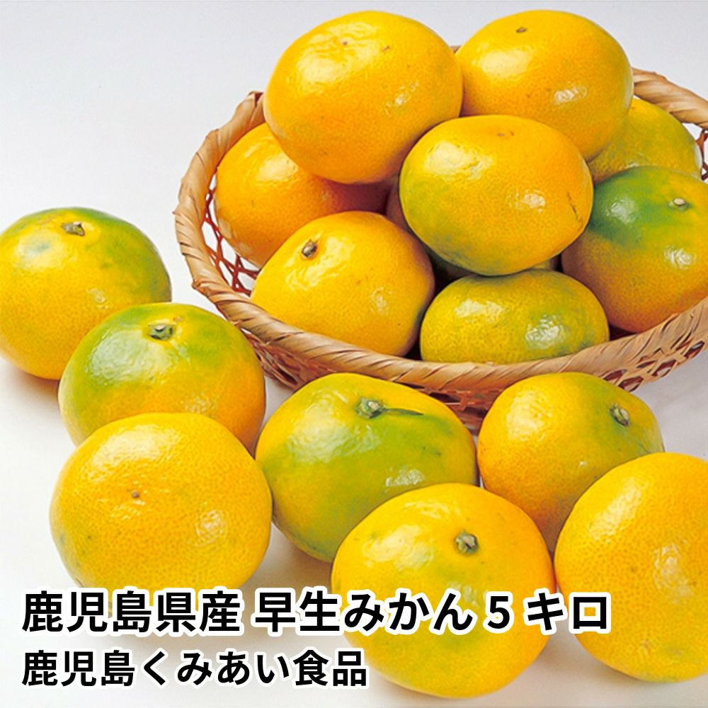 鹿児島県産 早生みかん 5キロ 40～63玉 L～2Sサイズの商品画像01