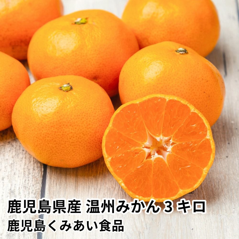 鹿児島県産 温州みかん 3キロ 25～40玉 L～Sサイズの商品画像01