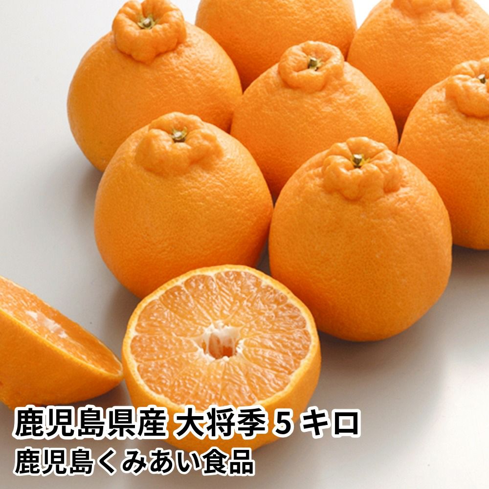 鹿児島県産 大将季 5キロ 12玉～20玉 5L～2Lサイズの商品画像01