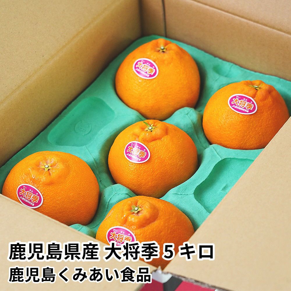 鹿児島県産 大将季 5キロ 12玉～20玉 5L～2Lサイズの商品画像01