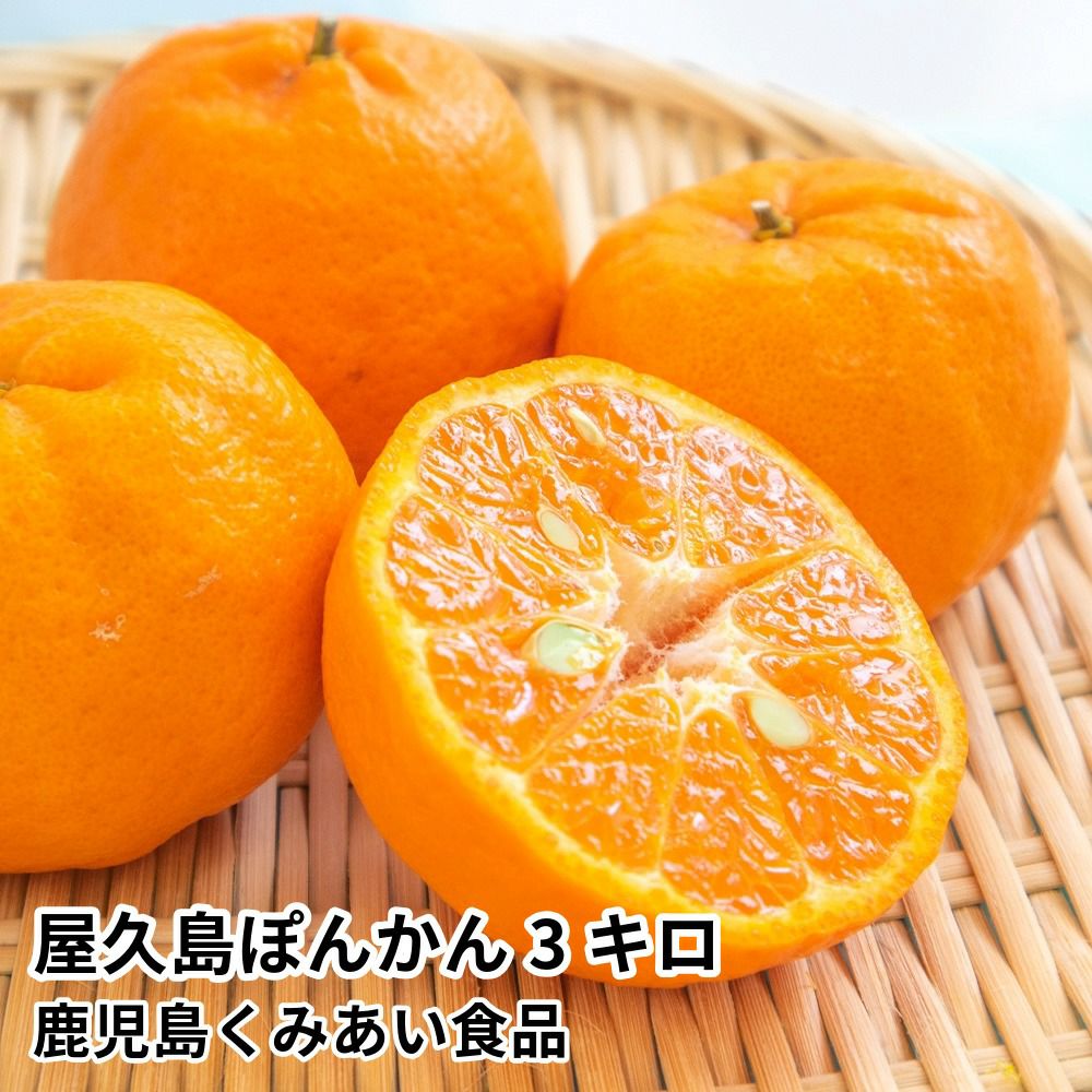 屋久島ぽんかん 3キロ 2L～Mサイズの商品画像01